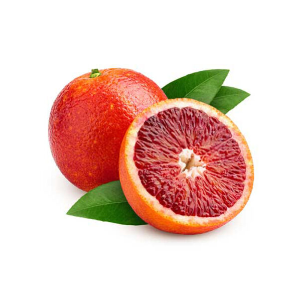 پرتقال تو سرخ شمال