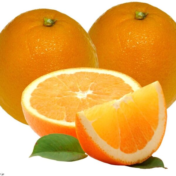 پرتقال شهسواری آبگیری